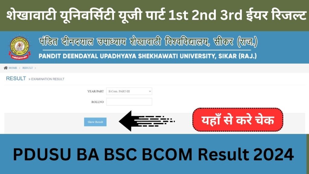 PDUSU BA BSC BCOM Result 2024: शेखावाटी यूनिवर्सिटी यूजी पार्ट 1st 2nd 3rd ईयर रिजल्ट shekhauniexam.in पर जारी, यहाँ से करे चेक